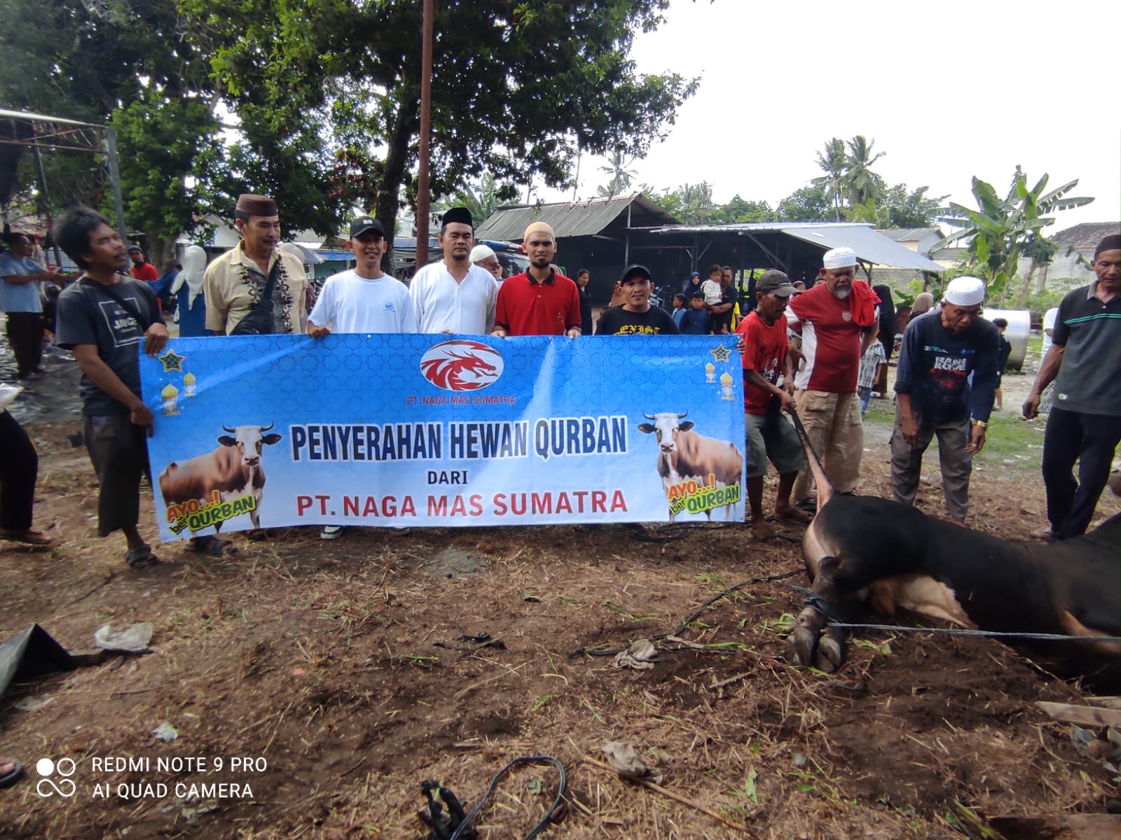 Img 20240617 Wa0067